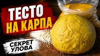🎣 SUPER DOUGH for FISHING 🎣 Killer CARP, SHOCKED CARP 🐟