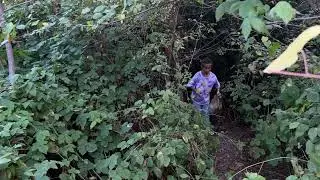 Ботанический сад.Не только мы любим в нем гулять.#ботаническийсадташкент#ботаническийсадосень#фото