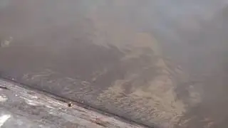 Amazing fish in the water. (Must Watch)