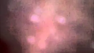 Microscope camera test video 1