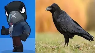 БРАВЛ СТАРС В РЕАЛЬНОЙ ЖИЗНИ | Brawl Stars Troops In Real Life 2019!