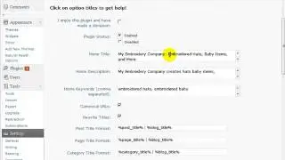 WordPress SEO Tutorial 10 - Configuring the All in One SEO Plugin