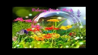 輕鬆舞曲 輕音樂 放鬆解壓 |Relaxing Chinese Music