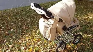 коляска(2)