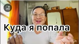 Шла к терапевту ,а попала к неврологу/Сосед ищет живодера,а он угрожает мне.