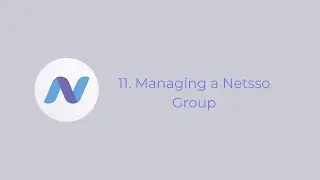 11.  Managing a Netsso Group