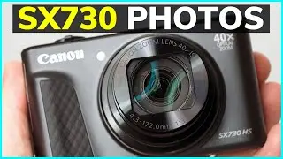 CRAZY Zoom! Canon Powershot SX730 HS Sample Photos