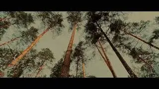 1 июля премьера "Йолдызым» Рустам Асадуллин