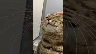 purrrrrrrrrrrrrrrrrrrrrrrrrrrrrrrrr