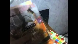 Cat Snaxx