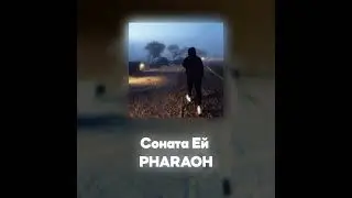 PHARAOH - Соната Ей (Акапелла / Acapella)