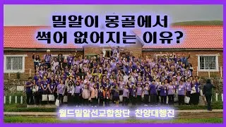 밀알이 몽골에서 썩어 없어지는 이유는?  -2024 월드밀알선교합창단 몽골 찬양대행진 기록
