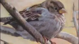 Time Lapse painting 