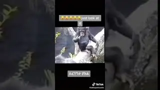 Monkey is so crazy.
