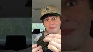 WE DID THE ONE CHIP CHALLENGE