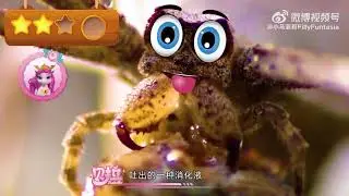 Filly's Colourful Nature World - about spiders