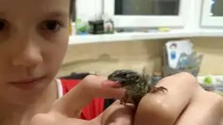 Снова ящерки🐊 (допустим это ящерица)