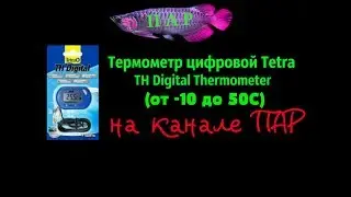 Tetra TH Digital Thermometer