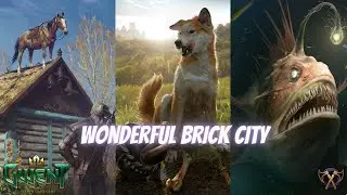 GWENT | Skellige Brick City Deck 11.8 | Some Random Druid Tamed The Beasts