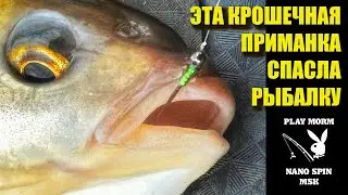 ВЕСЕННИЙ ЖОР ПЛОТВЫ / МОРМЫШИНГ / НИМФИНГ