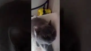 Задания!