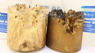 Make a Fake Burl Silicone Mold and Resin Casting