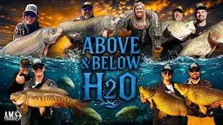AMS Bowfishing 