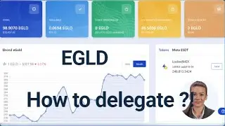 ⚡How to delegate your EGOLD !?⚡Maiar Exchange Tutorial⚡ Easy for beiners⚡Clear explained⚡