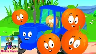 Five Little Oranges | Fruits Song For Kids | Nursery Rhymes | Monkey Rhymes