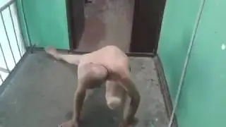 Нижний брейк от петушни