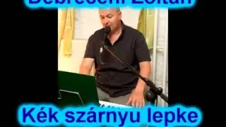 Kék szárnyu lepke