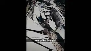 Ya Rabb Hewar, sed car Hewar !!! #deprem #asrınfelaketi