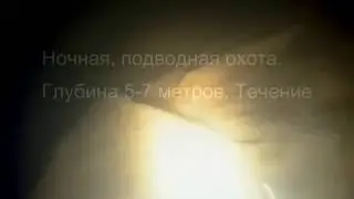 Ночная подводная охота на реке Нева