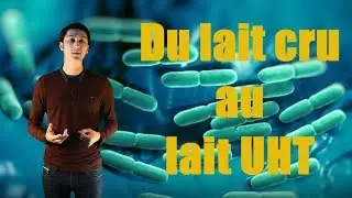 Lait Cru, UHT, Demi-Ecrémé,  Quelles différences ????