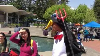 An Average Day at UC Berkeley