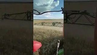 Внесение удобрений в августе #shorts
