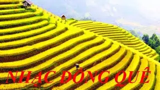 ✅ Nhạc đồng quê l Nhạc không lời l Hòa tấu guitar l Play list 19