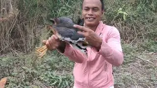 Bẫy chim quốc ngày, Hồ Đa Mi , Bình Thuận