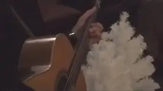 The Bug | Tommy Emmanuel