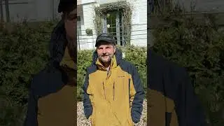 Яйца покрасил в  цвет луковой ботвы