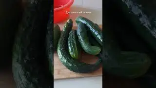 Korean-style winter appetizer made from overripe cucumbers. Serves well with SamoTo vodka. 