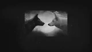 Akra - Noes L'ai L'ai - Trap - Authed Müzik