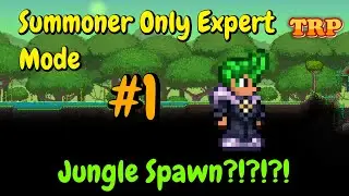 Terraria Summoner Only Jungle Spawn Live Series #1 - Yes.... A Jungle Spawn.  And It Hurts.