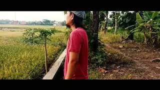 Cinematic Video Pemula with Gimbal B-Steady Pro BRICA