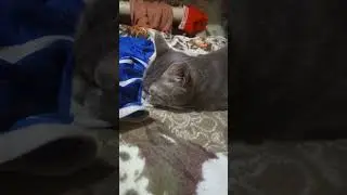 как пахнет диор