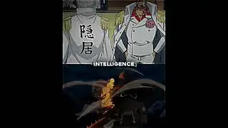 Akainu & Sengoku vs Kaido & Big mom