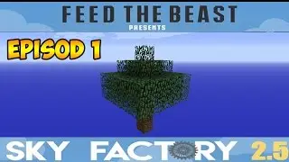 Minecraft - Sky Factory #1 - ПРОДВИНУТЫЙ SkyBlock