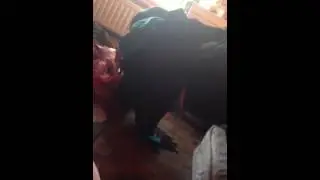 Shannon being really weird
