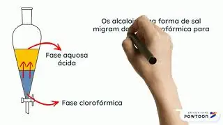 Extração de Alcaloides em meio Alcalino
