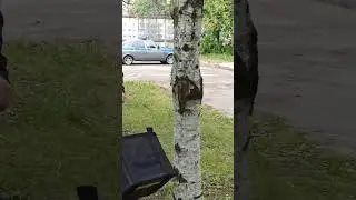 что за четкий аппарат в кадре #громкийфронт #edge #съëмки